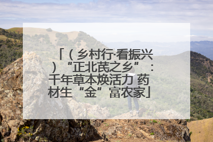 （乡村行·看振兴）“正北芪之乡”：千年草本焕活力 药材生“金”富农家