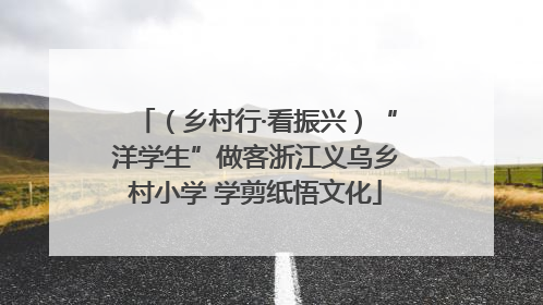 （乡村行·看振兴）“洋学生”做客浙江义乌乡村小学 学剪纸悟文化