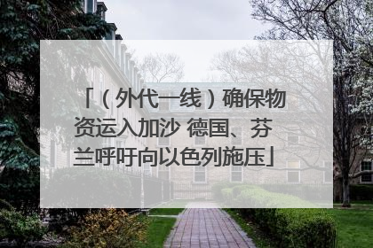 （外代一线）确保物资运入加沙 德国、芬兰呼吁向以色列施压