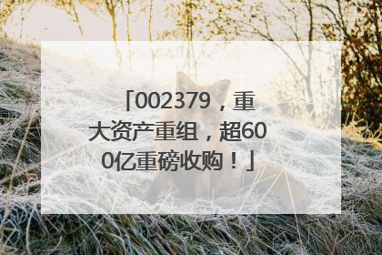 002379，重大资产重组，超600亿重磅收购！