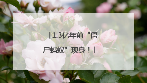 1.3亿年前“僵尸蚂蚁”现身！