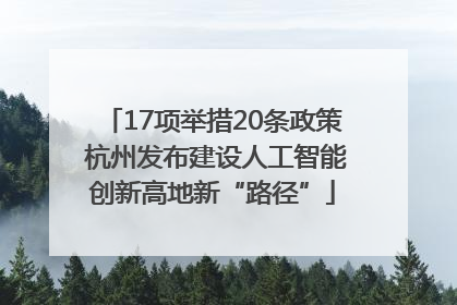 17项举措20条政策 杭州发布建设人工智能创新高地新“路径”