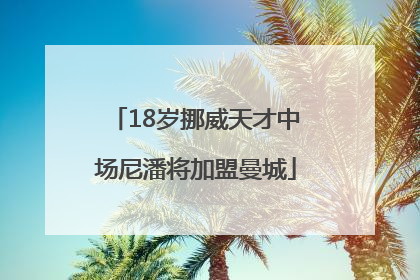 18岁挪威天才中场尼潘将加盟曼城