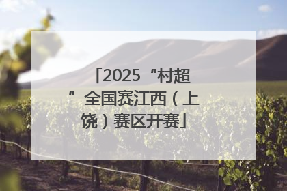 2025“村超”全国赛江西（上饶）赛区开赛