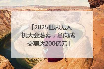 2025世界无人机大会落幕，意向成交额达200亿元
