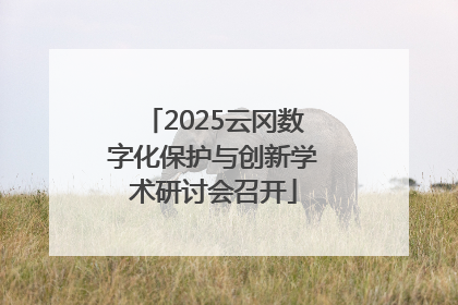2025云冈数字化保护与创新学术研讨会召开