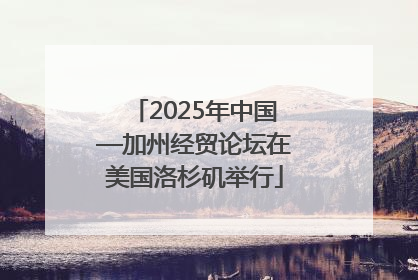 2025年中国—加州经贸论坛在美国洛杉矶举行