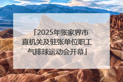 2025年张家界市直机关及驻张单位职工气排球运动会开幕