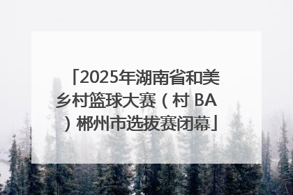 2025年湖南省和美乡村篮球大赛（村 BA）郴州市选拔赛闭幕