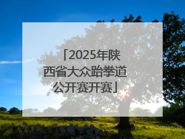 2025年陕西省大众跆拳道公开赛开赛