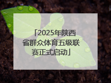 2025年陕西省群众体育五级联赛正式启动