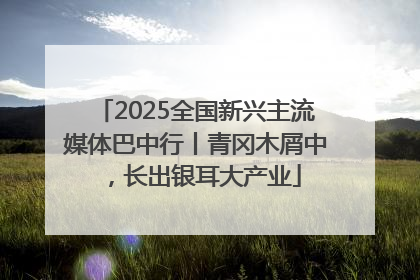 2025全国新兴主流媒体巴中行丨青冈木屑中，长出银耳大产业