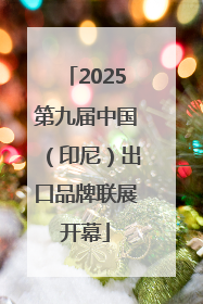 2025第九届中国（印尼）出口品牌联展开幕
