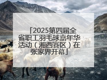 2025第四届全省职工羽毛球嘉年华活动（湘西赛区）在张家界开幕
