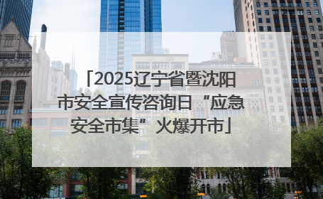 2025辽宁省暨沈阳市安全宣传咨询日“应急安全市集”火爆开市