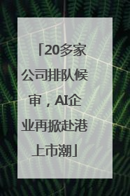 20多家公司排队候审，AI企业再掀赴港上市潮