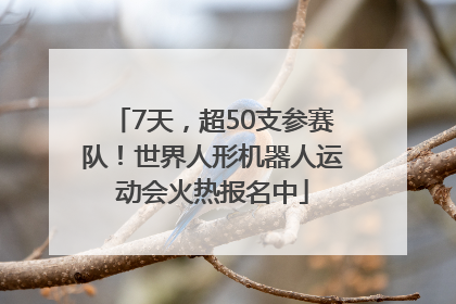 7天，超50支参赛队！世界人形机器人运动会火热报名中