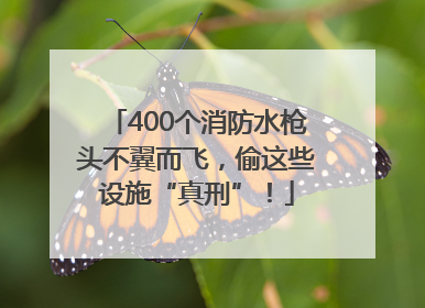 400个消防水枪头不翼而飞，偷这些设施“真刑”！