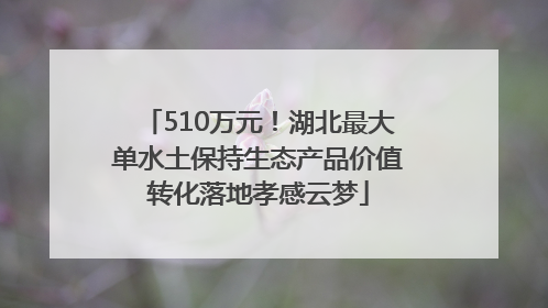510万元！湖北最大单水土保持生态产品价值转化落地孝感云梦