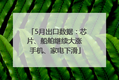 5月出口数据：芯片、船舶继续大涨 手机、家电下滑
