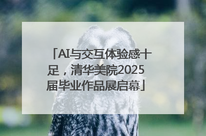 AI与交互体验感十足，清华美院2025届毕业作品展启幕
