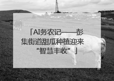 AI务农记——彭集街道甜瓜种植迎来“智慧丰收”