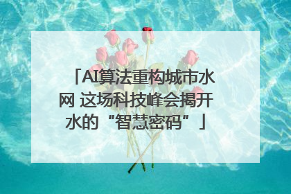 AI算法重构城市水网 这场科技峰会揭开水的“智慧密码”