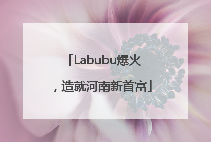 Labubu爆火，造就河南新首富