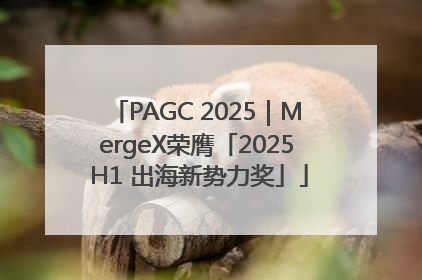 PAGC 2025｜MergeX荣膺「2025 H1 出海新势力奖」